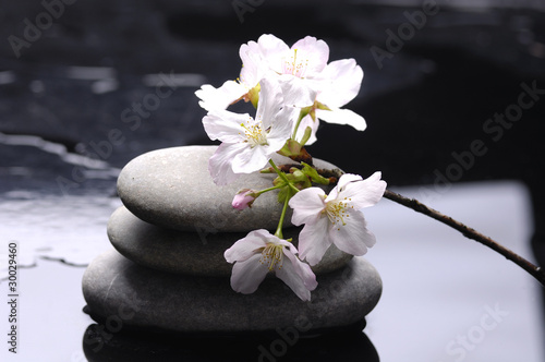 therapy stones with white flower