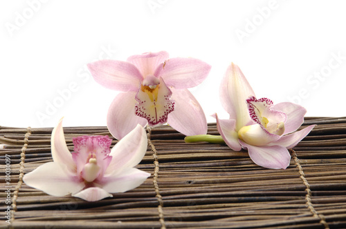 Set of orchid on bamboo mat