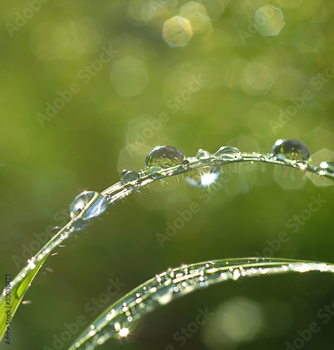 Raindrop