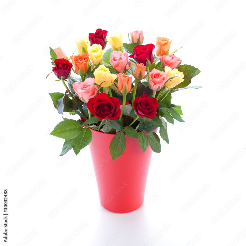 bouquet of roses bouquet of roses