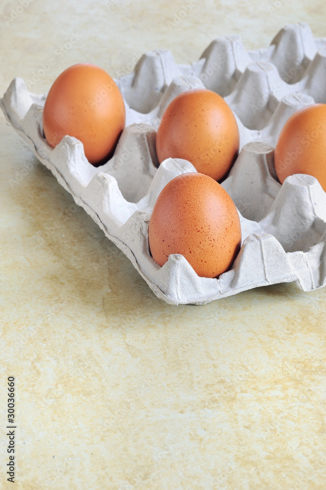 Eggs in cardboard Eggs in cardboard