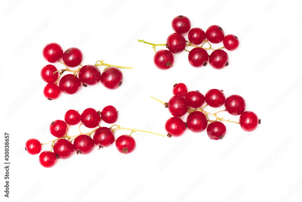 red currant