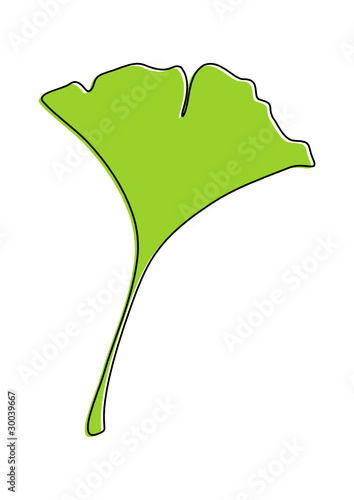 Ginkgo Blatt