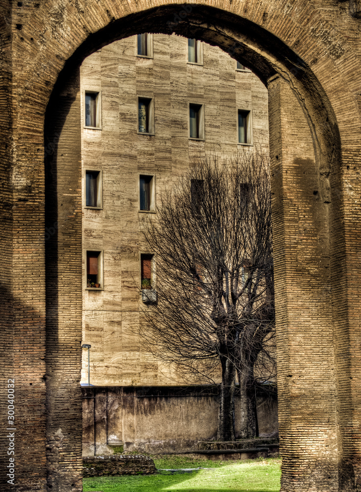 Fototapeta premium OLYMPUS DIGITAL CAMERA