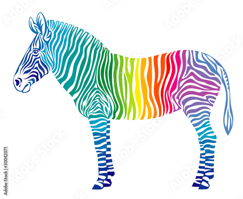 Rainbow zebra