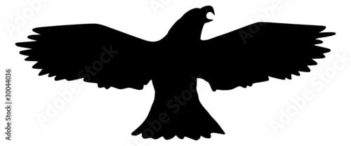 Adler