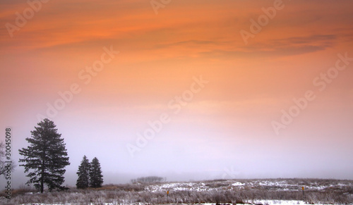 Foggy winter scene photo