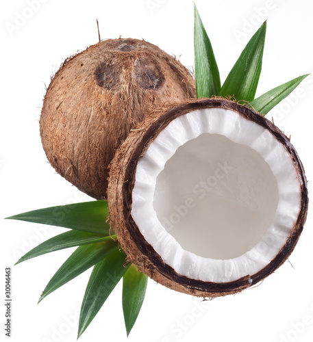 High-quality photos of coconuts on a white background.