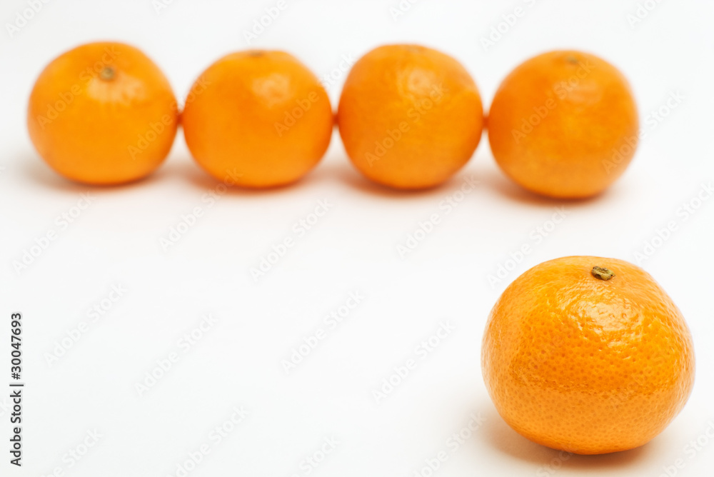 Tangerine in front in focus with blurred row of mandarins Tangerine in front in focus with blurred row of mandarins