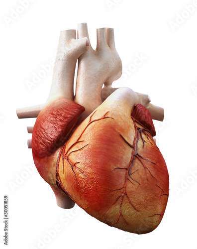 Fototapeta kuchenna heart