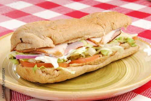 Sub sandwich on a plate