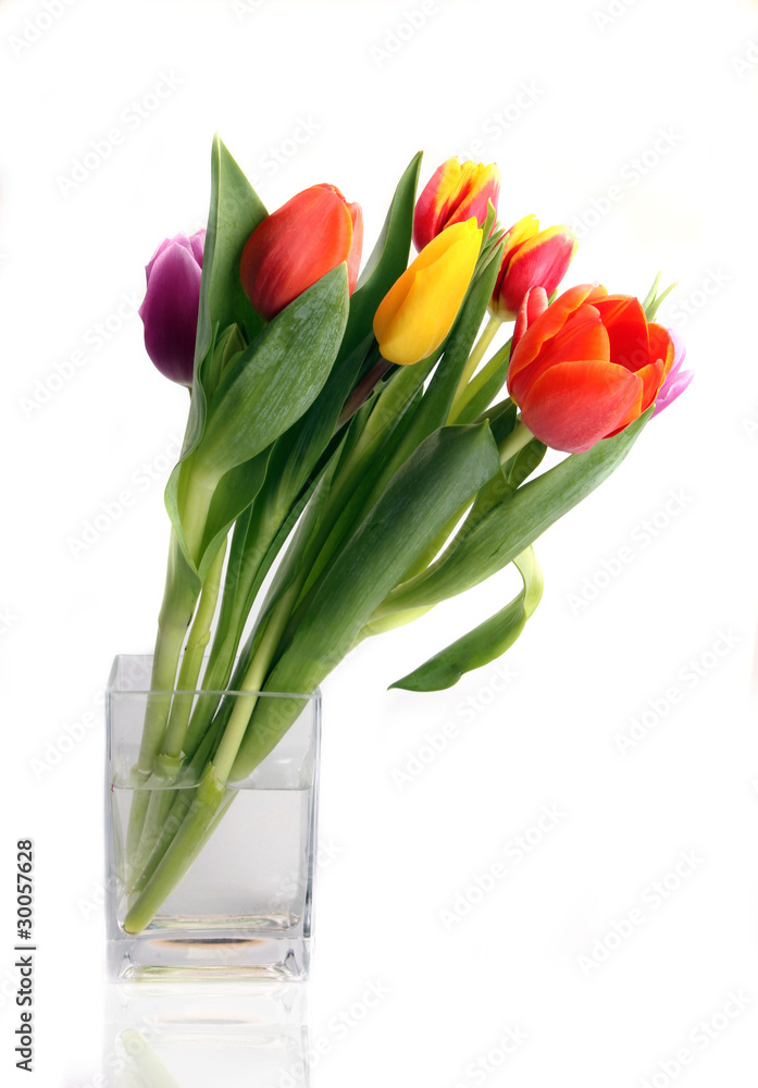 BOuquet of tulips, isolated on white background BOuquet of tulips, isolated on white background