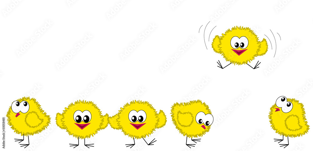 Chicken border: one of them is flying Chicken border: one of them is flying