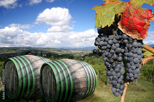 Vineyard in Chianti, Tuscany, Italy, famous landscape