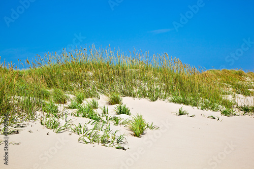 Fototapeta Naklejka Na Ścianę i Meble -  grass on a beach during stormy season