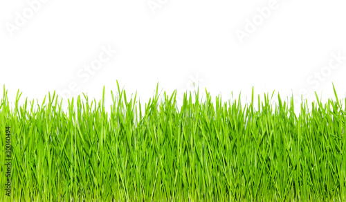 green grass