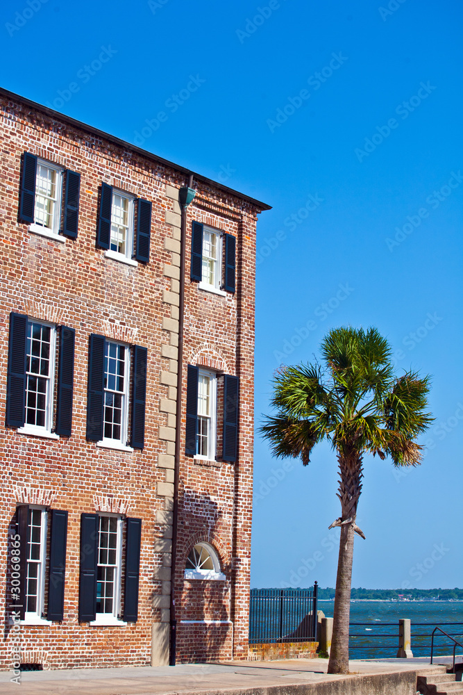 facade of old historic house with palm tree facade of old historic house with palm tree