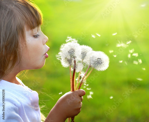 Summer wishes
