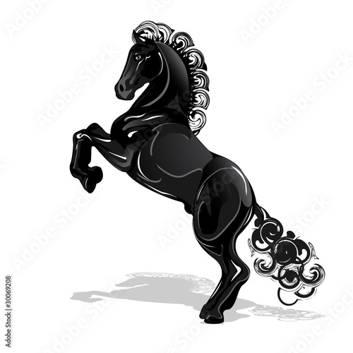 black horse