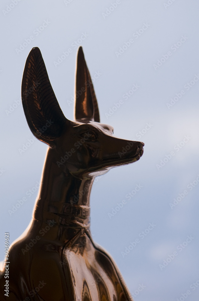 Anubis