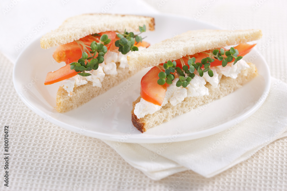 Vegetarian sandwiches