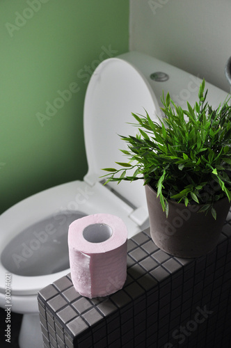 Toilettes Salle de bain