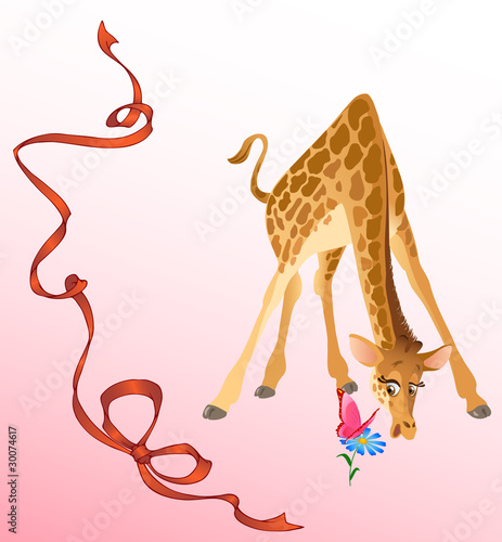 giraffe