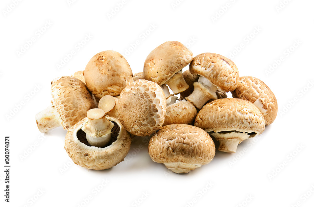champignons on white background champignons on white background