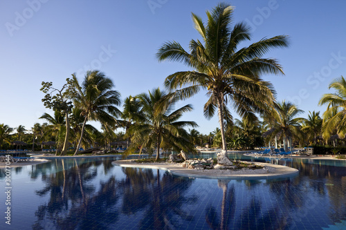 Luxury Resort Hotel Swimming Pool with Palm Trees © imageegami