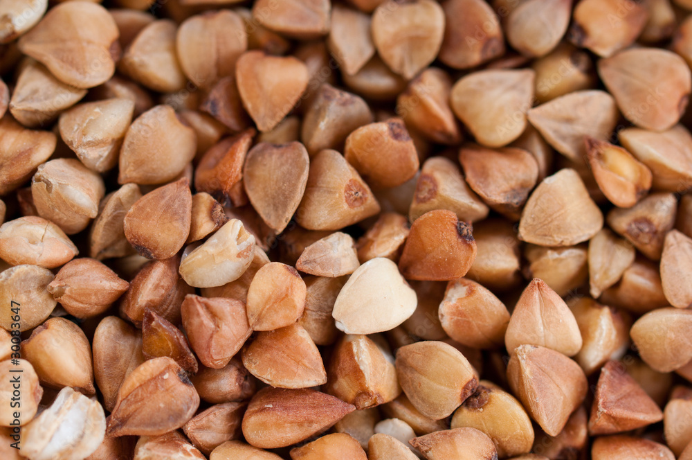 buckwheat texture buckwheat texture