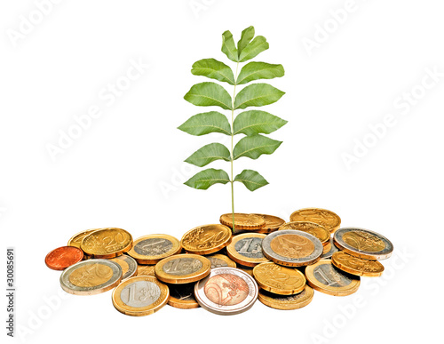 Tree growing from pile of coins