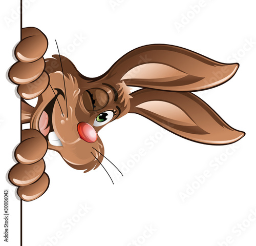 bunny