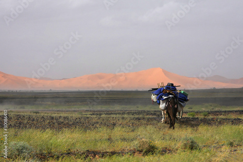 Caravane solitaire dans le désert © Pierre-Jean DURIEU