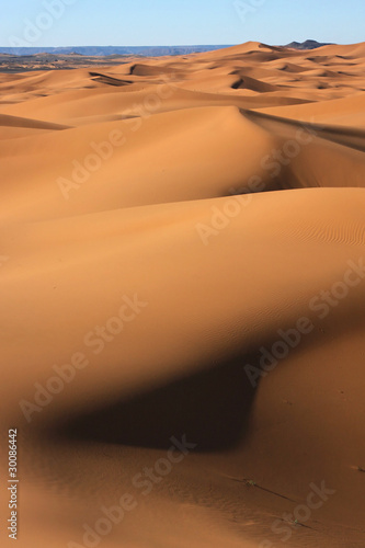 Ombres sur la dune