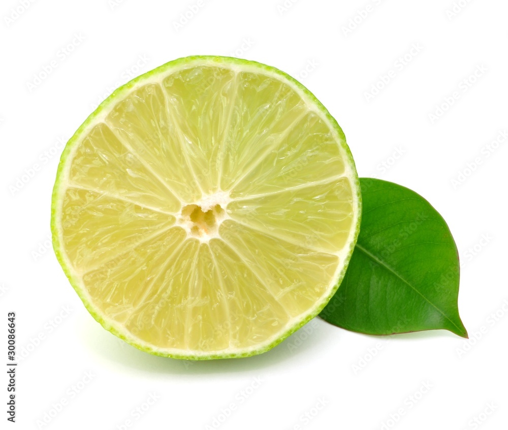 Lemon, Blatt Lemon, Blatt