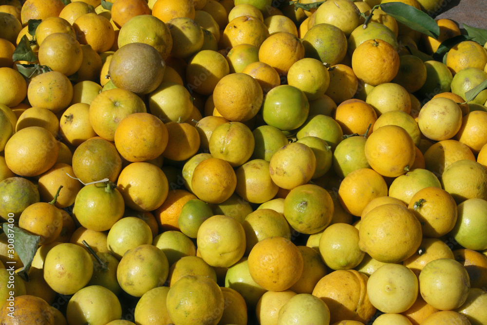 les fruits du bergamotier : citrus bergamia