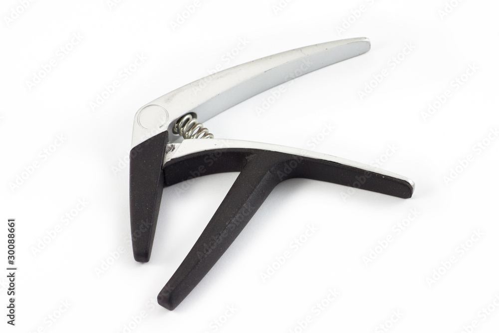 Obraz premium Capo