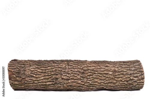 Naklejka na ścianę Isolated stub log with wooden texture