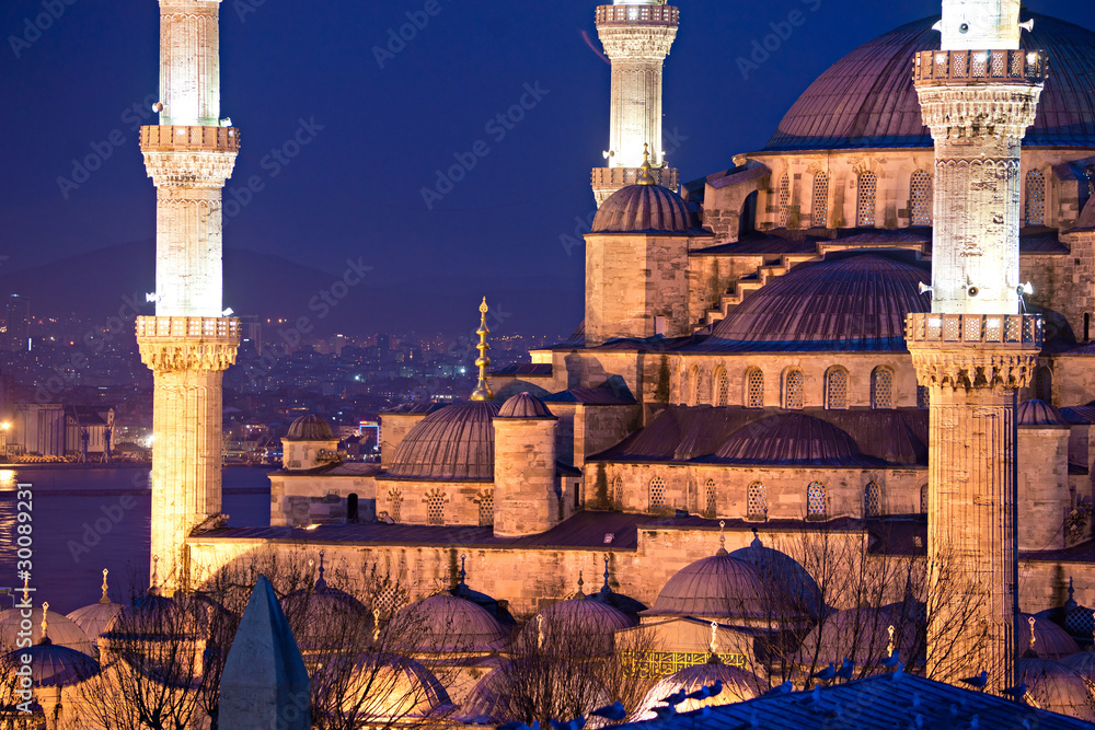 Fototapeta premium the blue Mosque, Istanbul, Turkey.