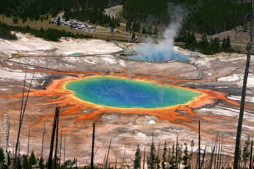 Prismatic Spring