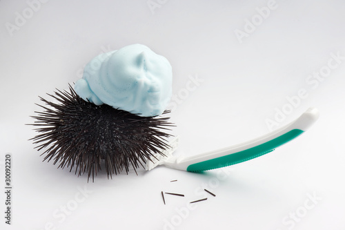 Urchin with shave tool