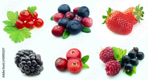 Collection of berries