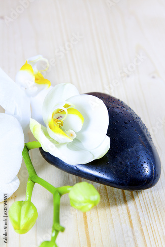 Wallpaper Mural Wellness Torontodigital.ca