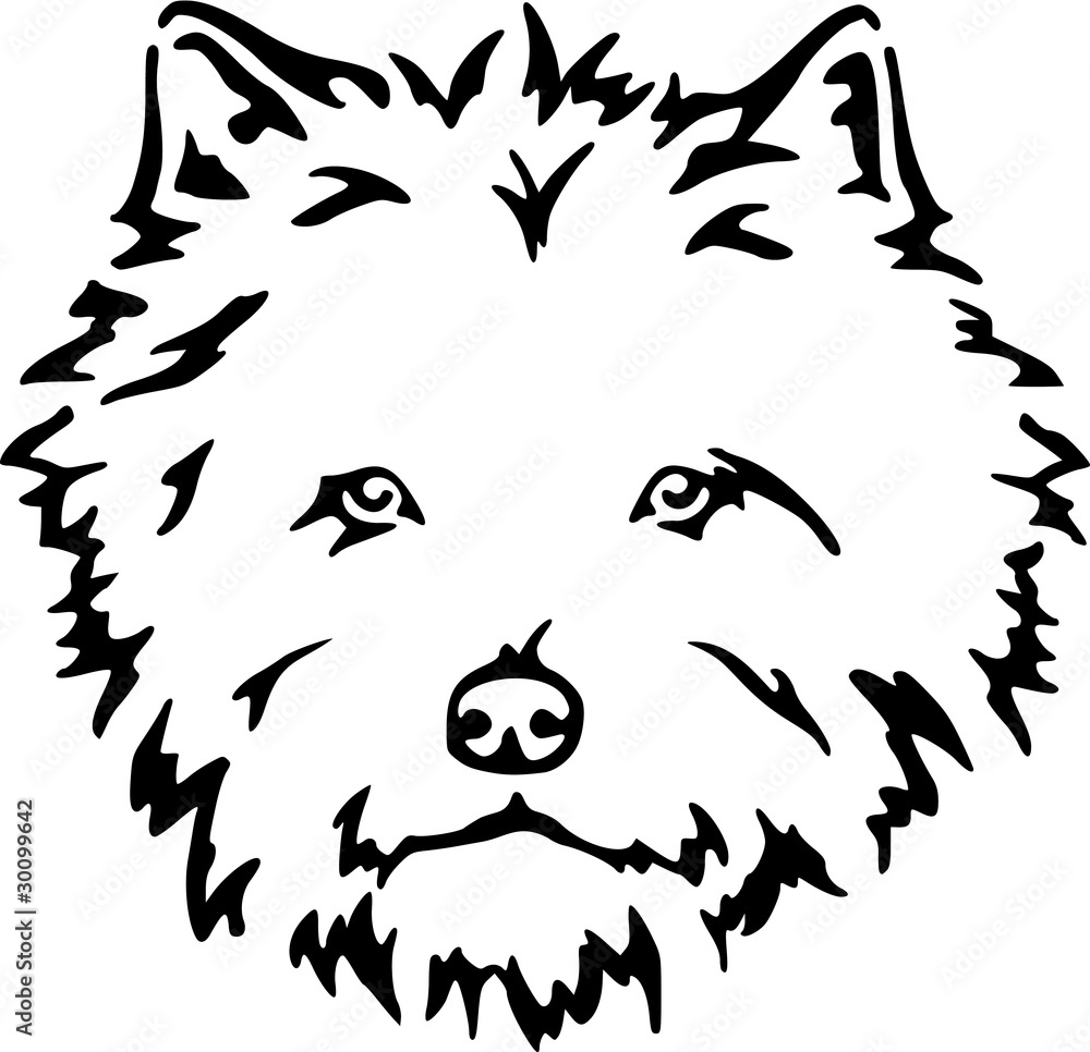 Cairn Terrier / Hund / Kopf Stock Illustration | Adobe Stock