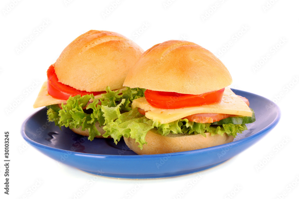 Sandwich isolated on white Sandwich isolated on white
