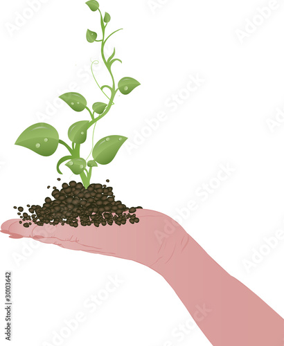 Vector illustration Green sprouts on a female hand