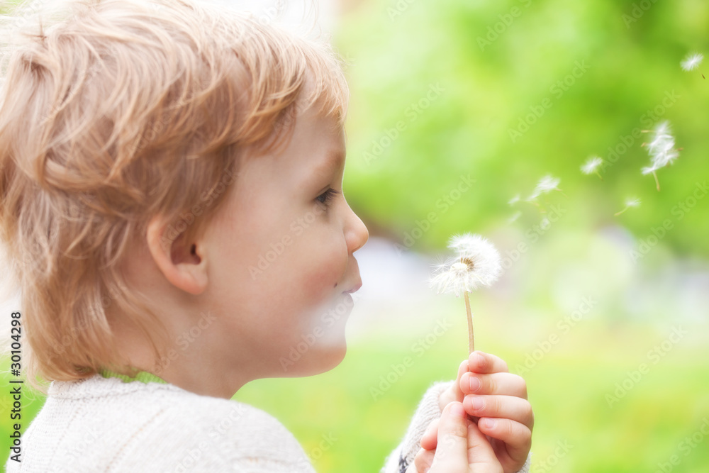 Young blond kid in the meadow blowing wishes on dandelion seed Young blond kid in the meadow blowing wishes on dandelion seed