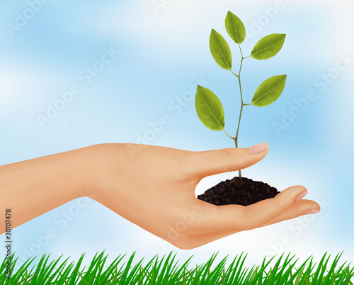 Person holding a young plant. Vector illustration.