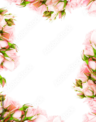 Wallpaper Mural Fresh roses frame Torontodigital.ca