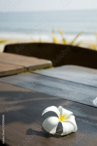 tropical flower on the beach